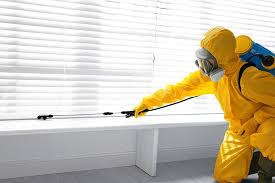 Best Bed Bug Extermination  in Keasbey, NJ